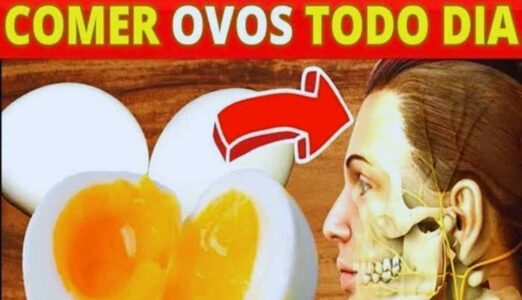 Ovo