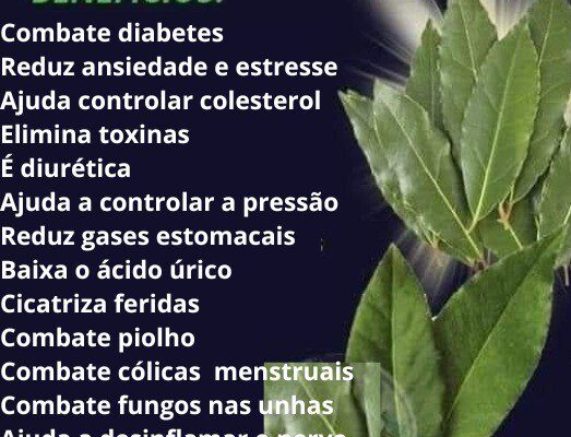Folha de louro