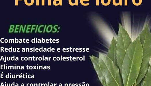 Folha de louro